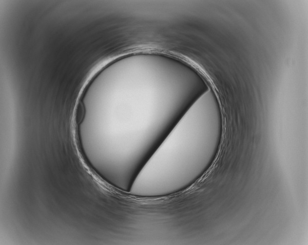 X0000116351440200912011029