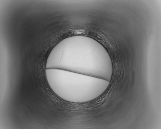 X0000116351442200912011029