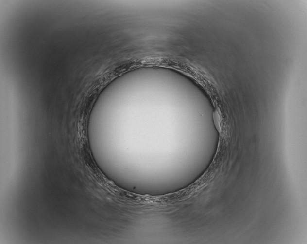 X0000116351445200912011029