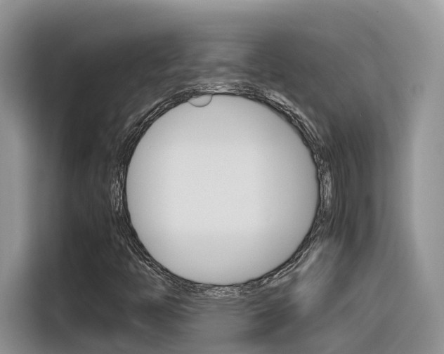 X0000116351446200912011029
