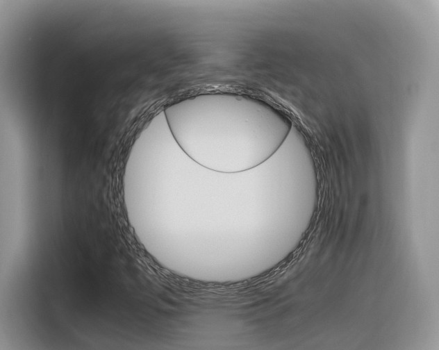 X0000116351447200912011029