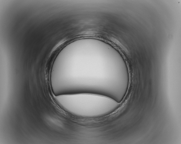 X0000116351450200912011029