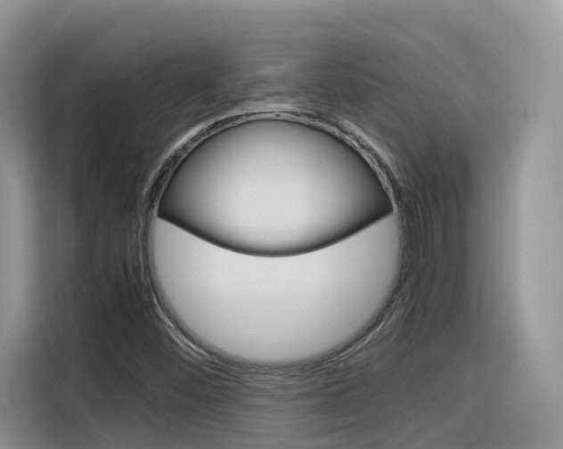 X0000116351452200912011029