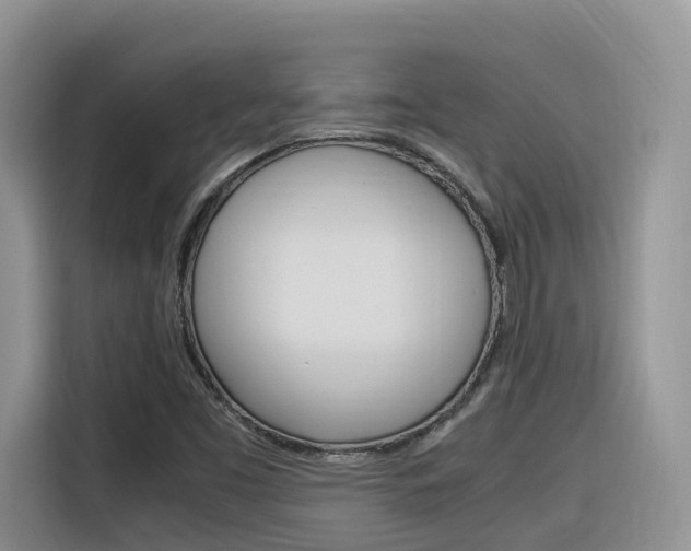 X0000116351453200912011029