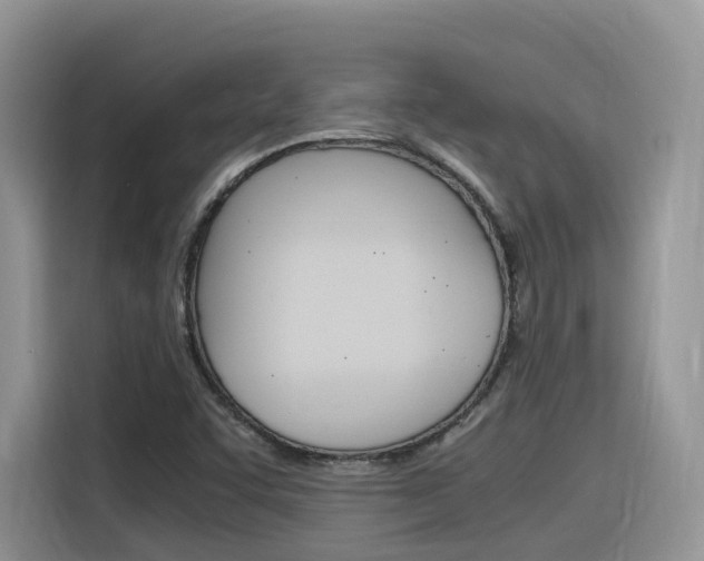 X0000116351455200912011029