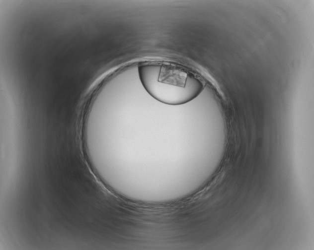 X0000116351456200912011029