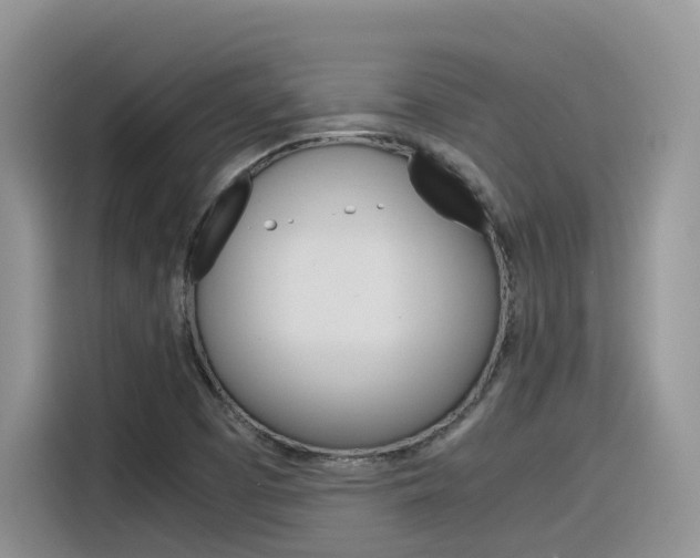 X0000116351457200912011029