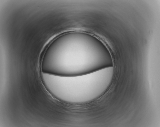 X0000116351460200912011029