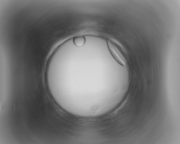 X0000116351461200912011028