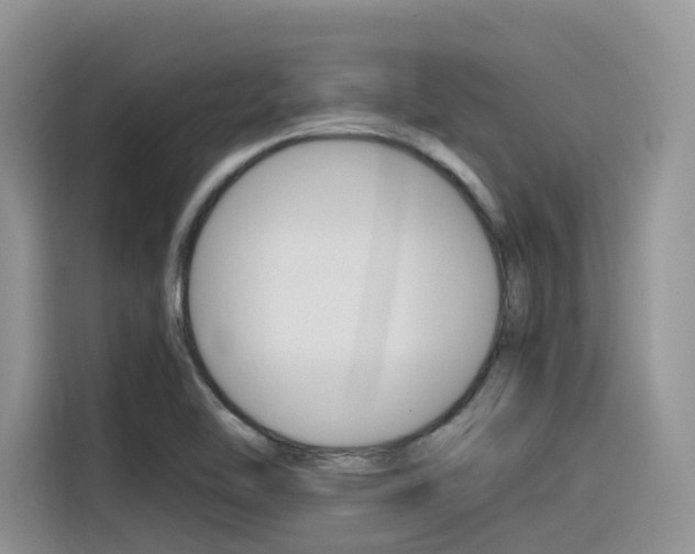 X0000116351462200912011028