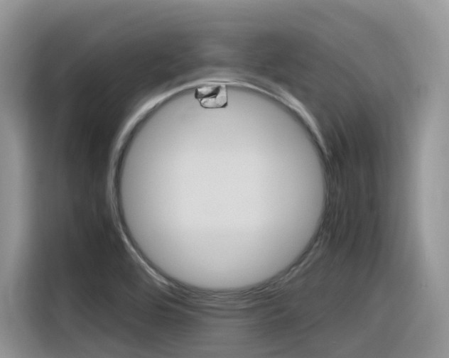 X0000116351464200912011028