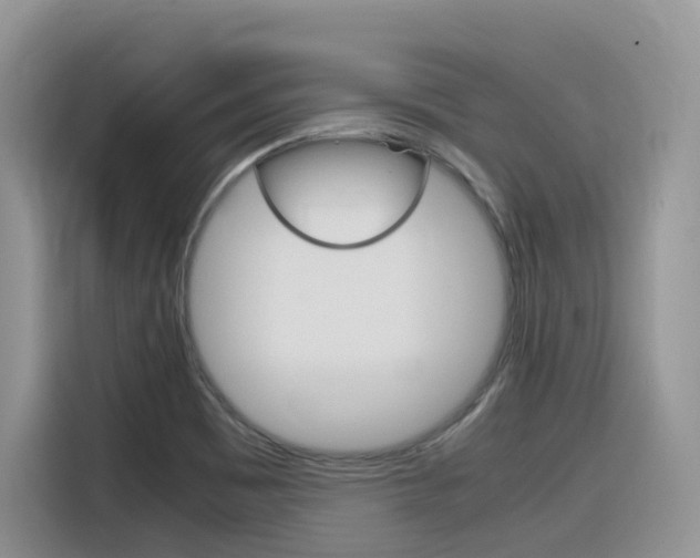 X0000116351465200912011028