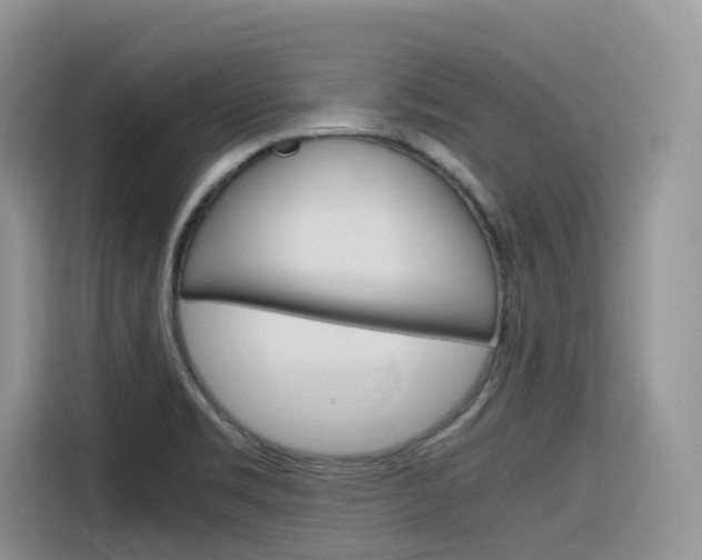 X0000116351469200912011028