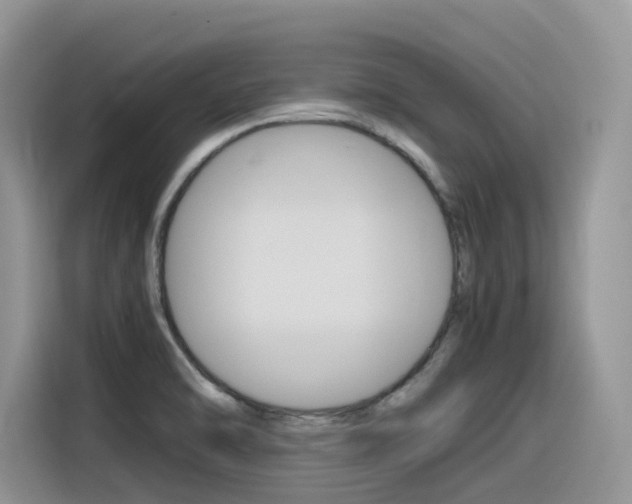 X0000116351470200912011028