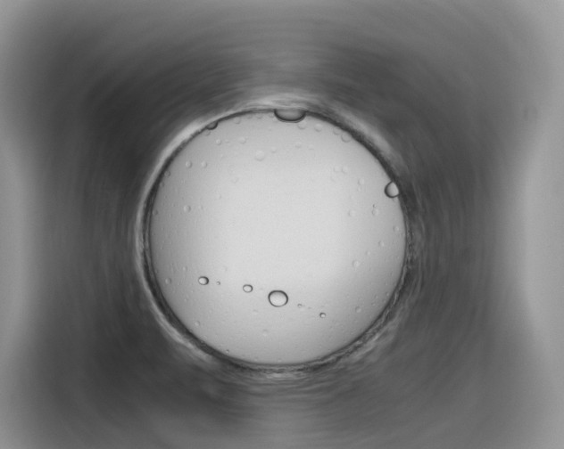 X0000116351471200912011028
