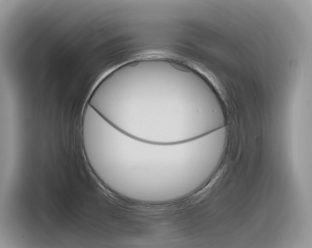 X0000116351473200912011028