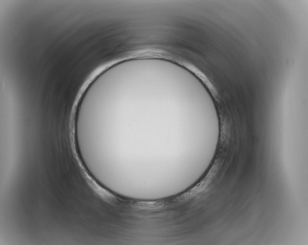 X0000116351478200912011028