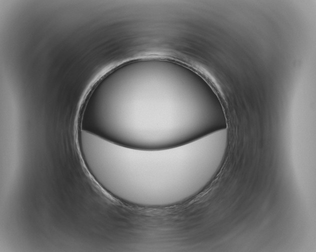 X0000116351480200912011028