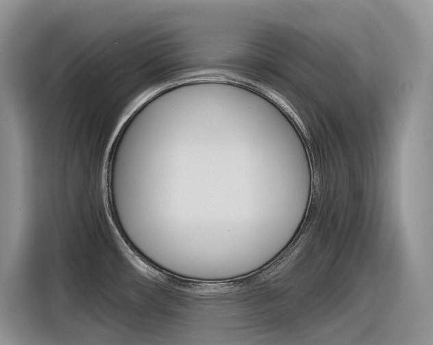 X0000116351482200912011028