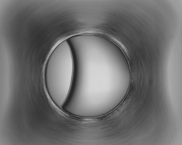 X0000116351483200912011028