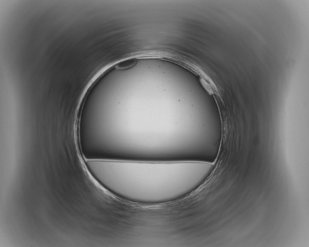 X0000116351484200912011028