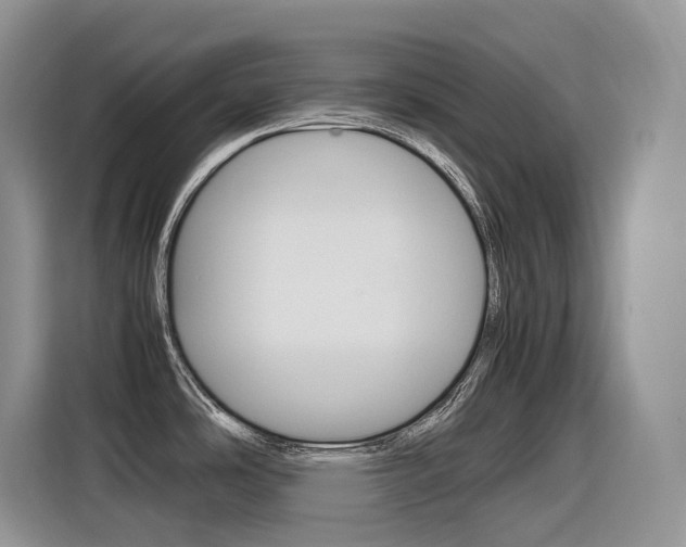 X0000116351486200912011028