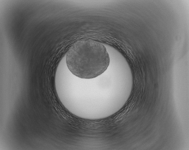 X0000116351489200912011028