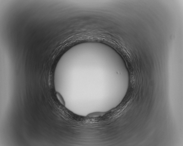 X0000116351490200912011028