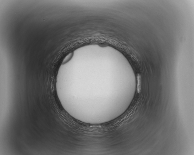 X0000116351491200912011028