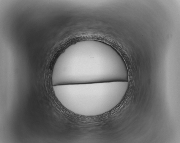 X0000116351493200912011028