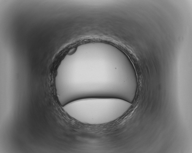 X0000116351494200912011028
