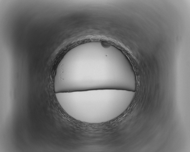 X0000116351495200912011028