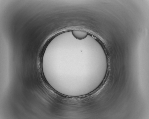 X0000116351498200912011028
