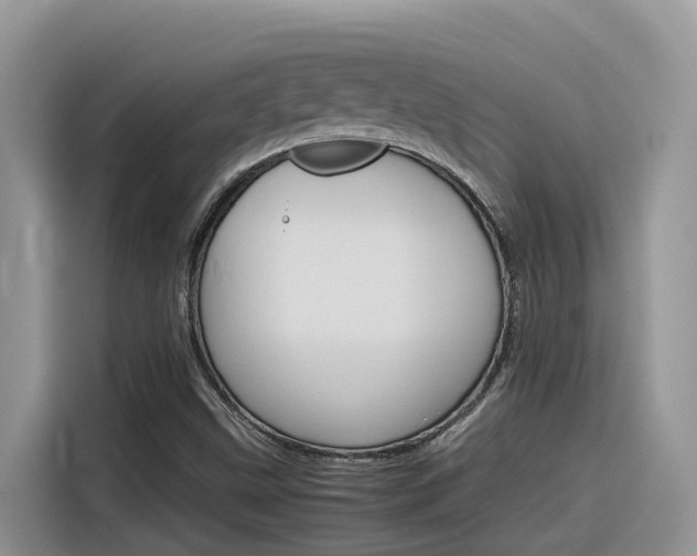 X0000116351499200912011028