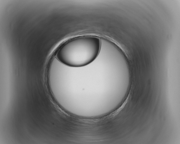 X0000116351502200912011028