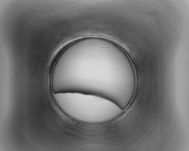 X0000116351503200912011028
