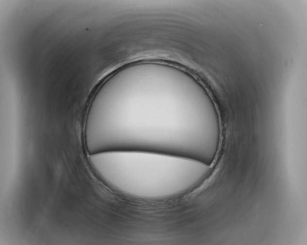 X0000116351505200912011028