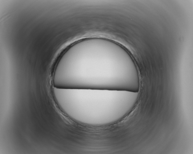 X0000116351507200912011028