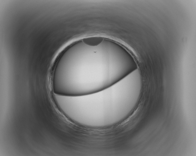 X0000116351510200912011028