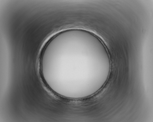 X0000116351511200912011028