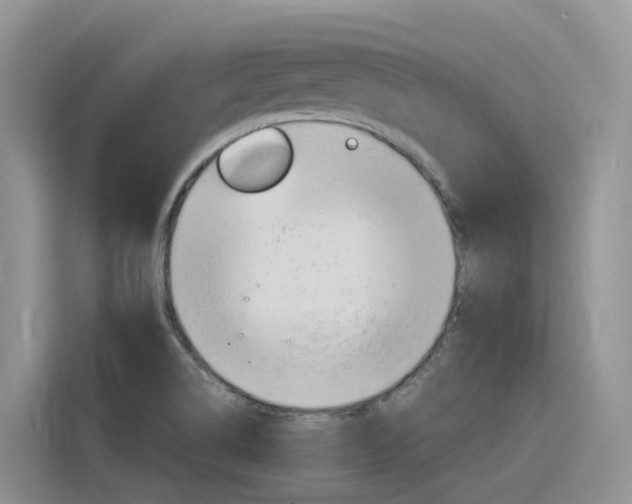 X0000116351514200912011028