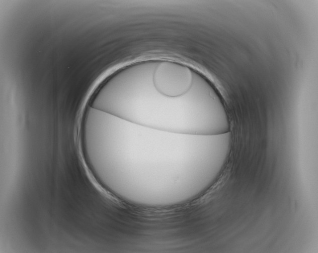 X0000116351515200912011028