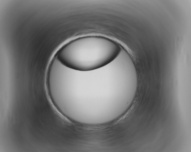 X0000116351518200912011028