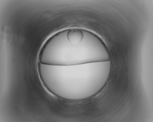 X0000116351519200912011028