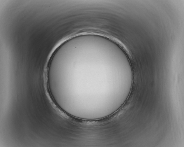 X0000116351522200912011028