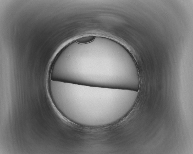 X0000116351523200912011028
