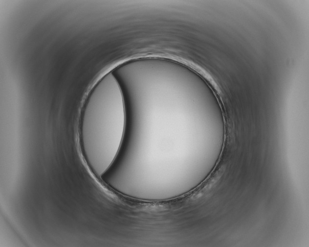 X0000116351525200912011028