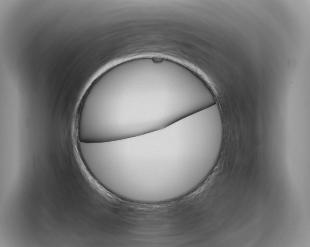 X0000116351526200912011028