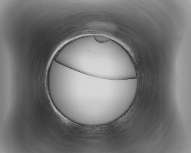 X0000116351527200912011028