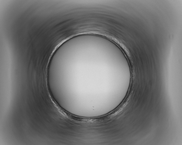 X0000116351529200912011028